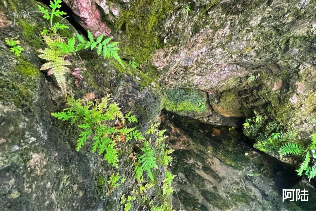 草原天路|在杭州花山脚下有处甘泉，名字很奇葩，大多数本地人都没听说过