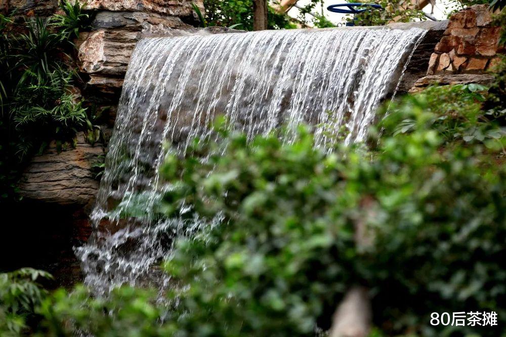 古猗园|太原植物园“露珠温室”等你来纳凉