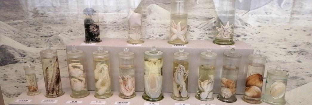 00年上海垃圾堆惊现儿童人头，法医5分钟破案：一场误会没有凶手