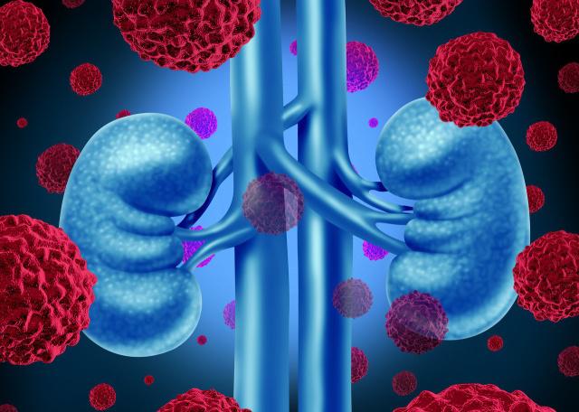 运动|肾不好先别慌，常做这几个动作，肾可能会越来越强劲