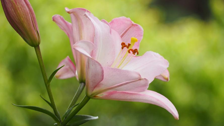 |不喜欢职场工作,还能有其他选择吗?食神贴身泄秀,能自己干吗?