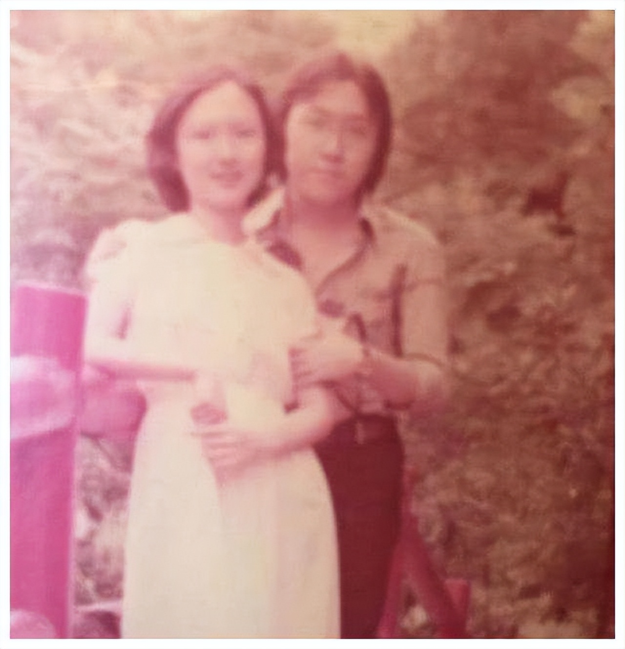 王晶|爸爸“歪瓜裂枣”,女儿却貌美如花,这5位星二代长相一点没随爹