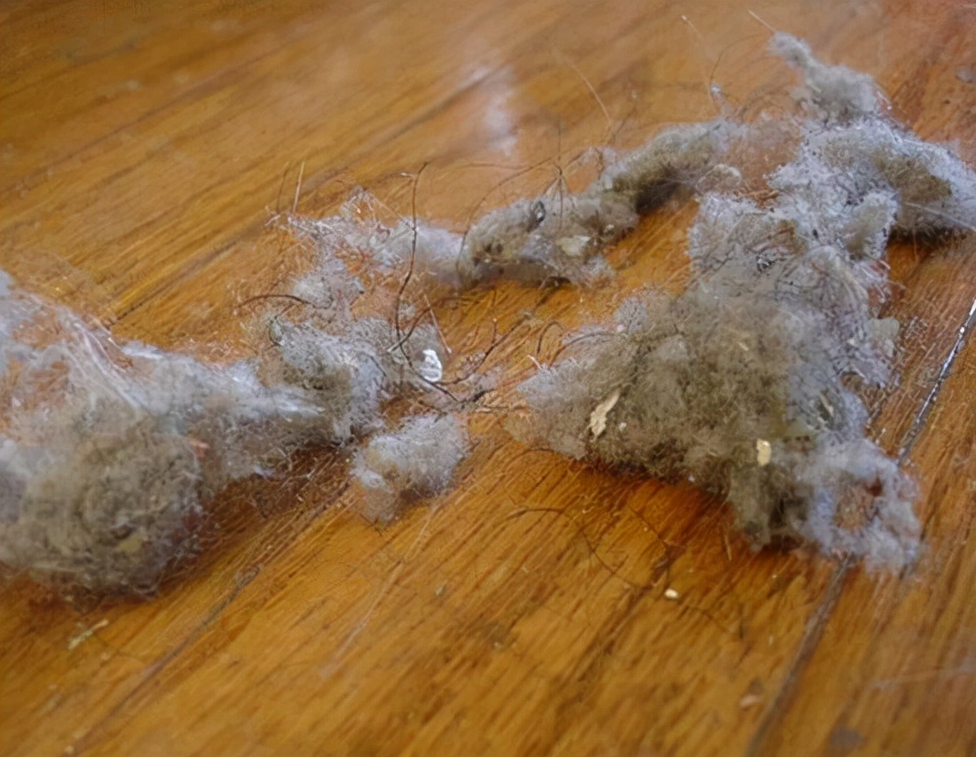 为何家里总有很多“毛絮”？教你这么做，毛絮自动消失，快试试！