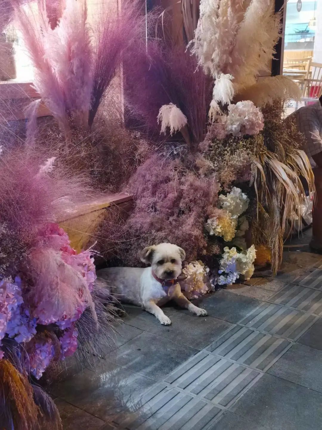 房山|散步、吃冰、打卡……夏日夜晚“我在永康路很想你”