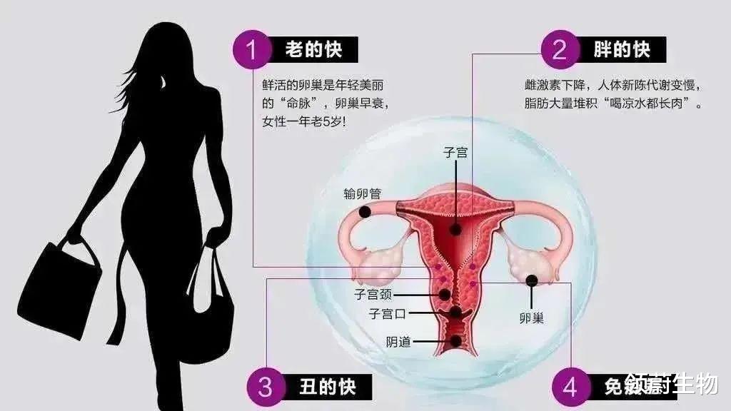 干细胞干预修复卵巢早衰(10问10答)