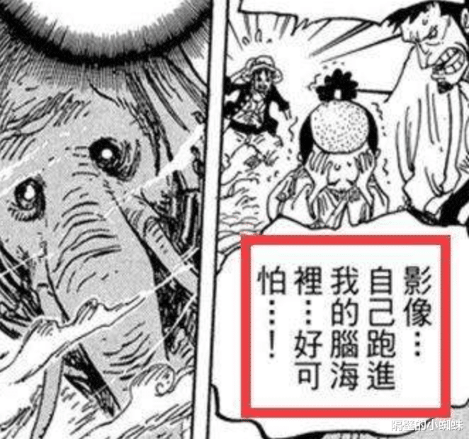 海贼王|海贼王1039话情报：象主与桃之助达成共鸣，它要出手消灭敌人