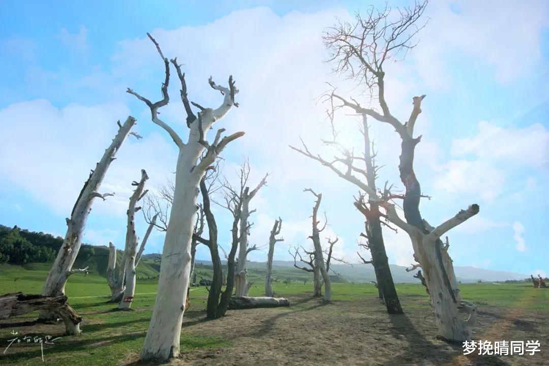 古镇|夏天去哪避暑?七八月还要穿外套的这五个地方,凉快又好玩