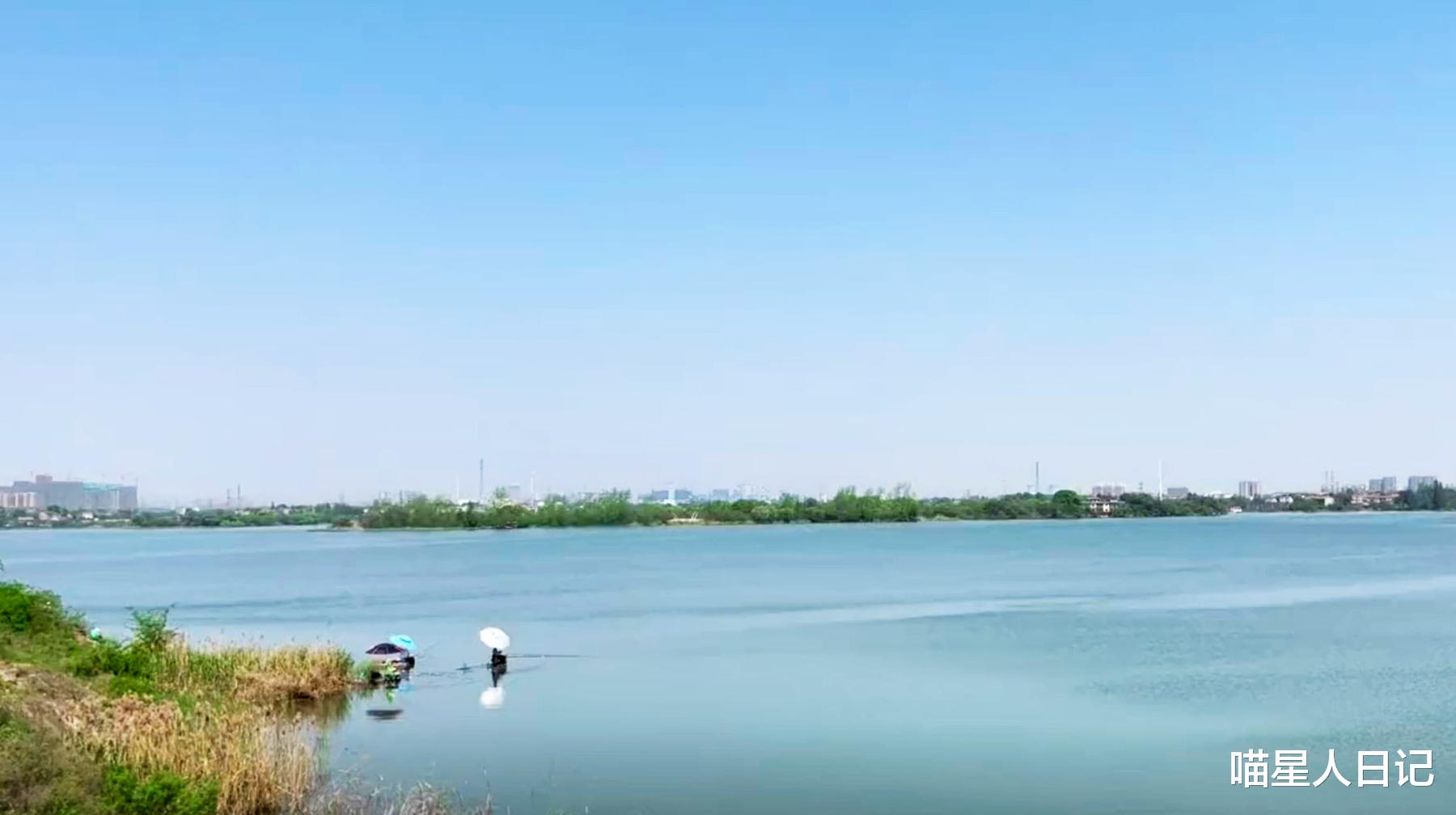 珠海|武汉城区有座湖泊，与杭州西湖差一个字，遍布草原一样的浪漫风景