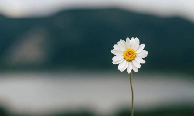 寇准|单位上，人品很差的人，有这几个表现，不要深交