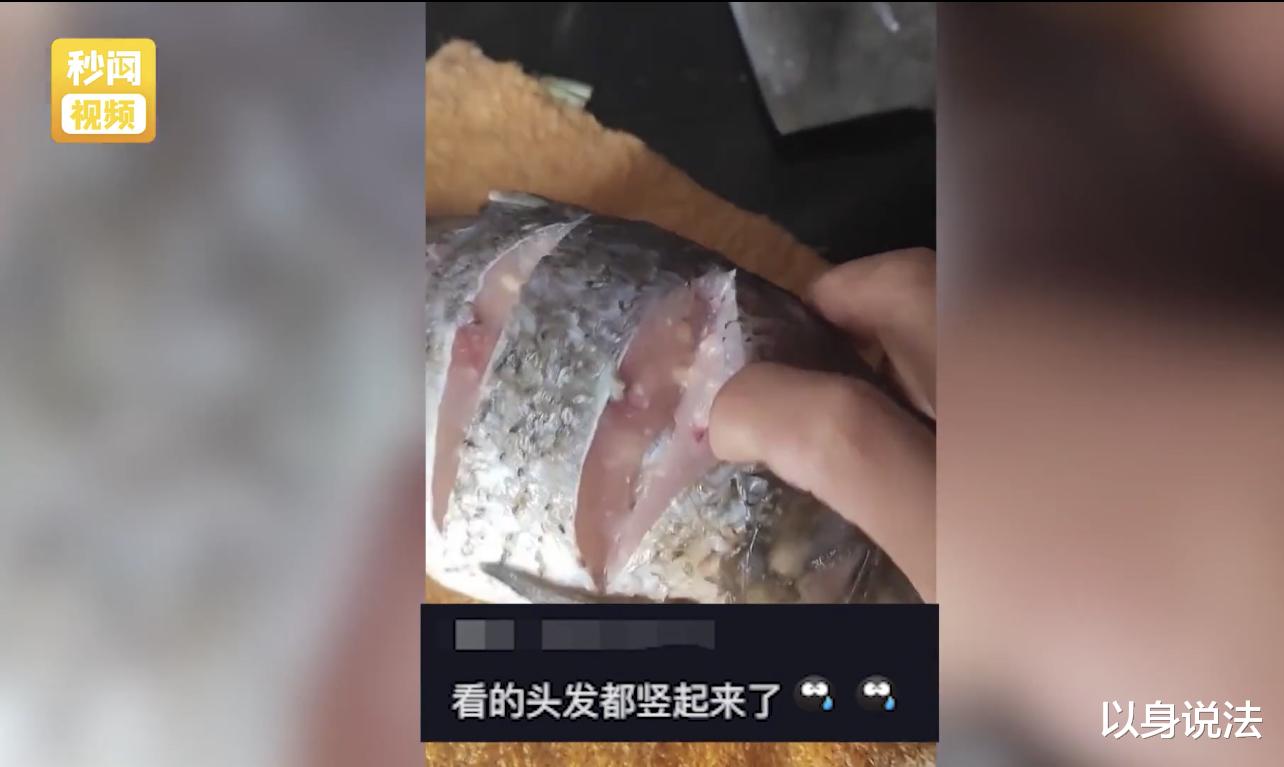 河北一女子在菜市场买鱼回家改刀后却发现鱼身有脓水