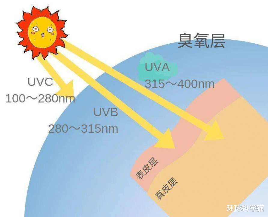 ?冲17千米高！汤加火山猛烈喷发，多国发布海啸警报，地球要降温？