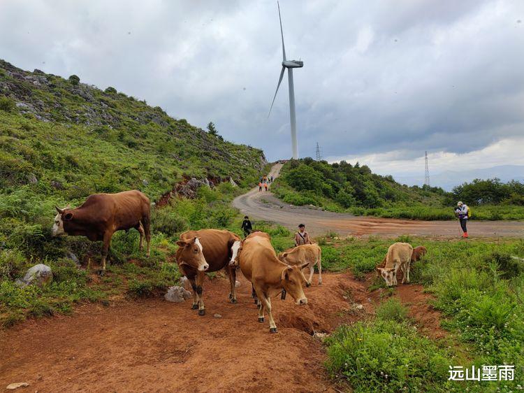 昆明|走风摆山、探马牙洞,打卡昆明户外新晋网红地,徒步、赏景两相宜
