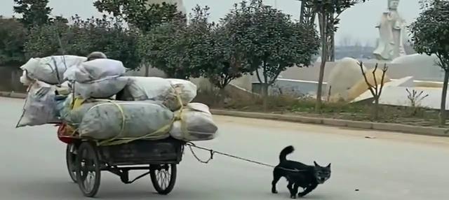 叶轻眉|《庆余年》进入神庙的三种方法，叶轻眉是唯一神庙逃亡者