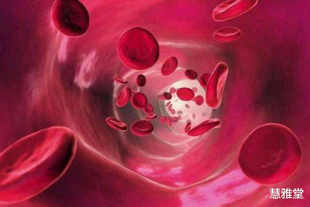 有氧运动|体内血液“干净”的人,可能有3个特征,日常做好3点,帮助养血管