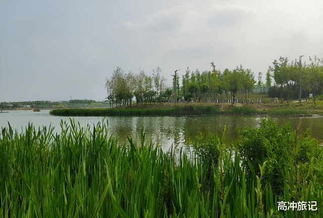 草原|石家庄鹿泉区有一座超级大的“湿地公园”，不收门票，游客却不多