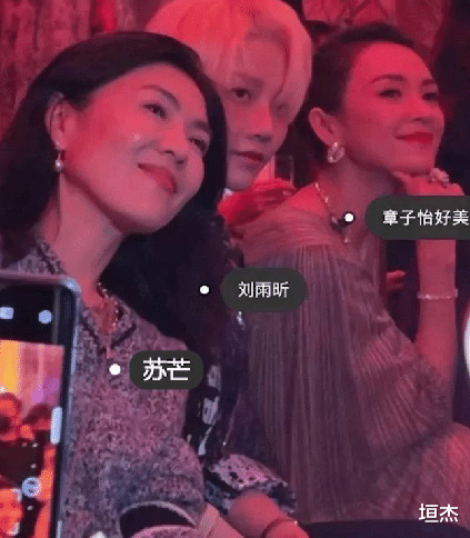 苏芒|苏芒:用丑照毁掉伊能静,公然摸富豪大腿,遭名门痞女洪晃暗讽