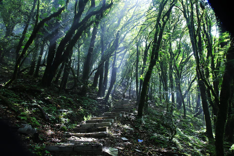 高原|打造文旅新业态！普洱镇沅谋划推出“哀牢山徒步旅游线路”