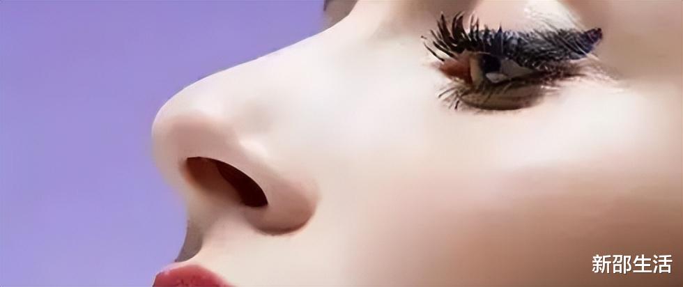 金晨|演艺圈“花式鼻子”大比拼，又尖又翘又吓人，一个比一个精彩