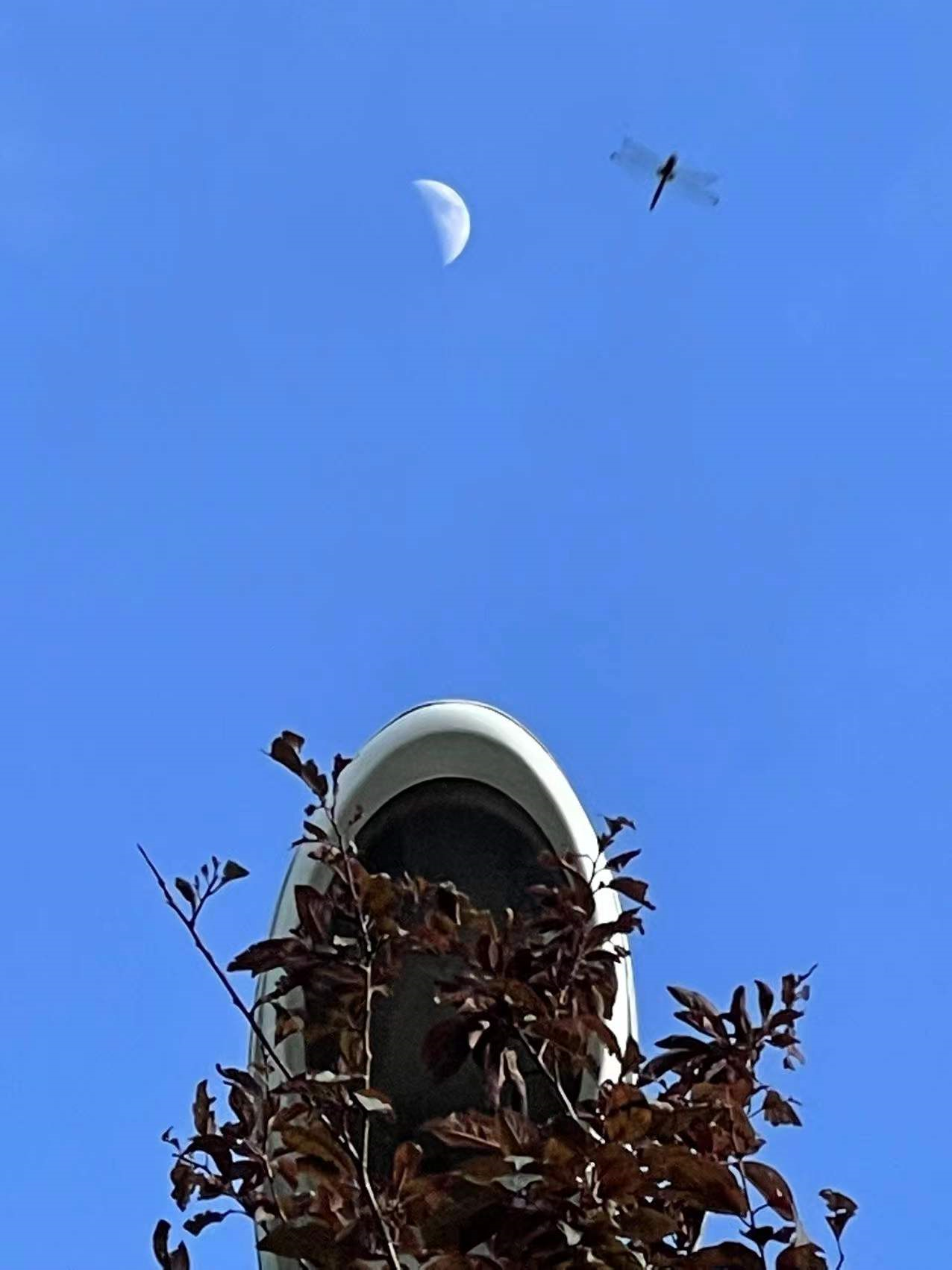 摄影|2021年终摄影总结，这一年我拍了点啥？多图杀猫流量预警！