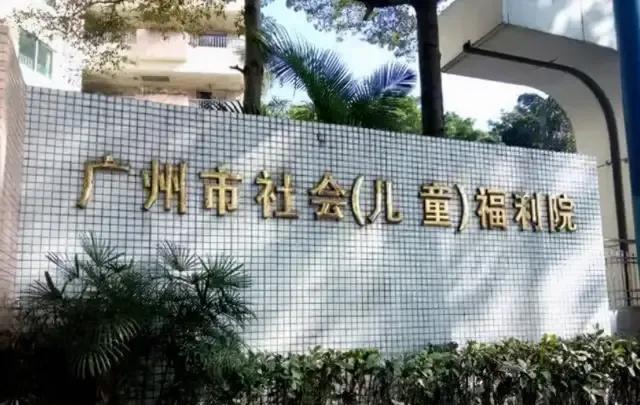 2017年,广东83岁老妇毒杀小儿子后被捕判刑,现场的人却为她求情