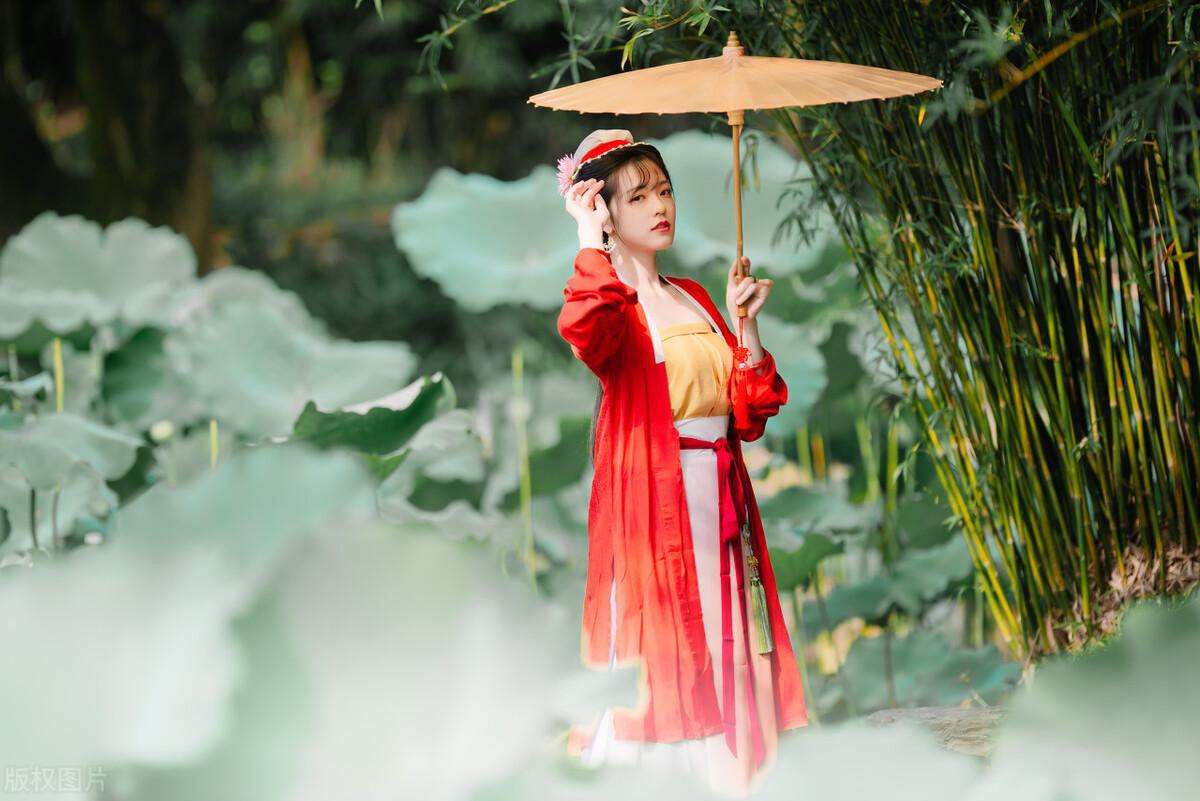 荷花|郭进拴|故乡的抱玉河