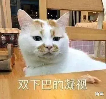 发型 桥本环奈又要拍漫改了，这次是露额头？