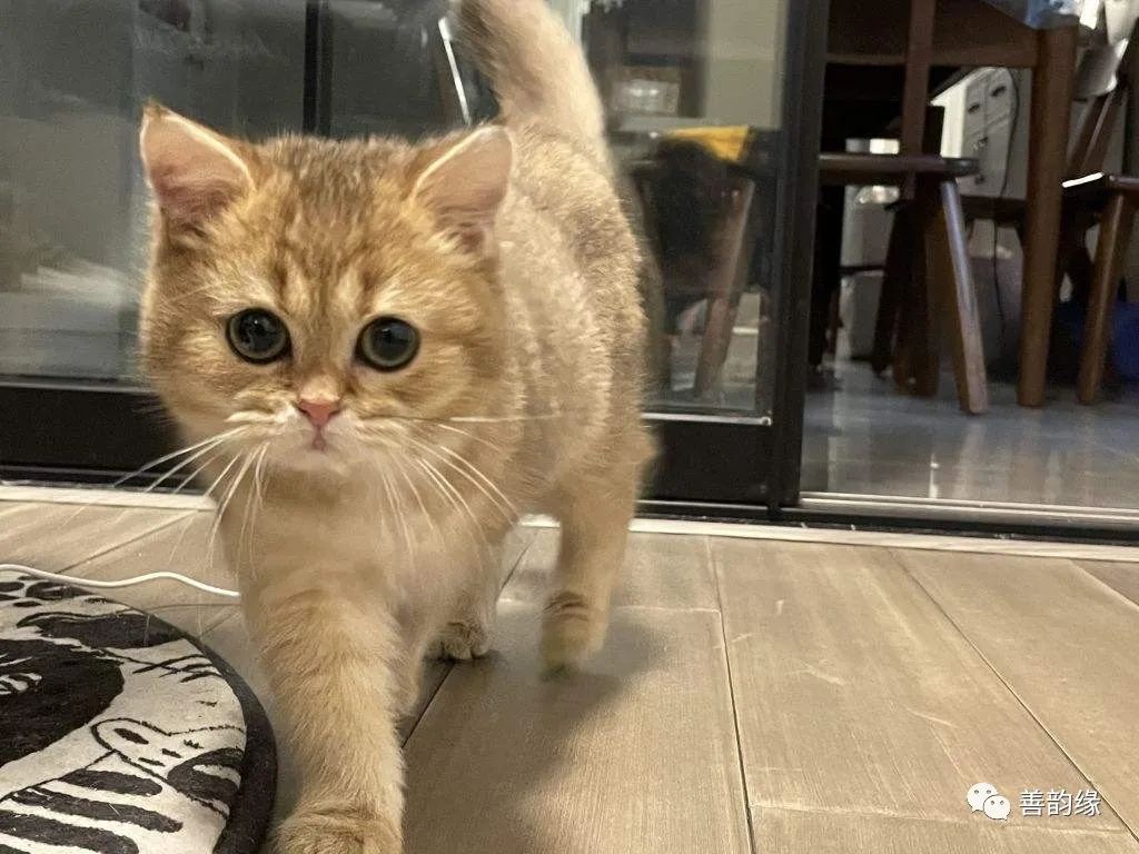 善韵缘|新房入住最忌讳这十个预兆！