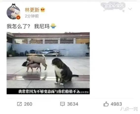 明星|不过是娱乐大众的玩意,这些明星哪来的这么大的优越感?