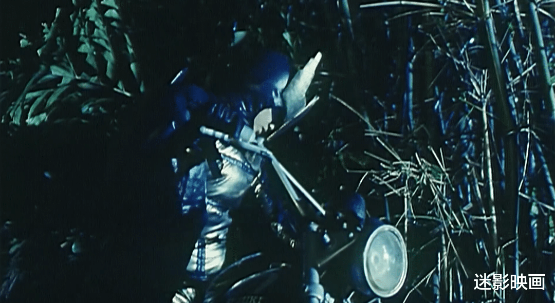 薛家燕|国产超级英雄电影鼻祖，雷人的飞天蜈蚣侠，烂片中的一朵奇葩！