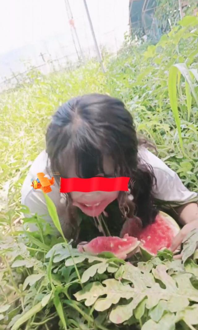 女子悄悄到邻居瓜棚里借瓜,谁想被主人逮个正着,吃得满脸西瓜水
