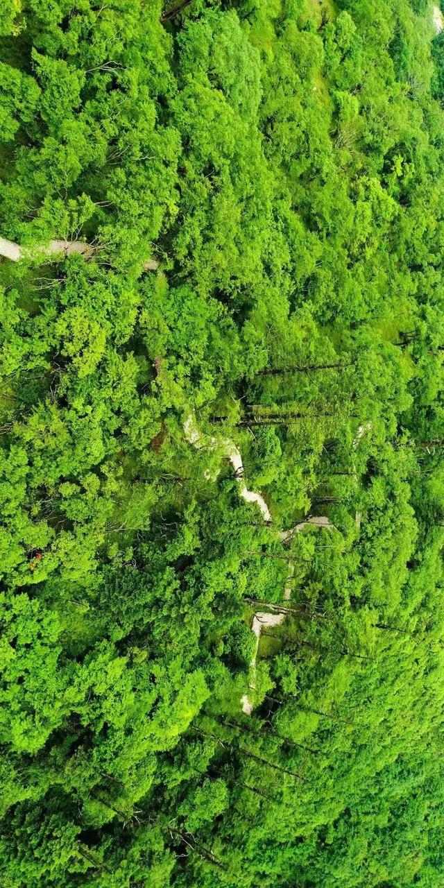 |别再喊热了!这个被央视疯狂点赞的避暑秘境,18℃!爆凉快!