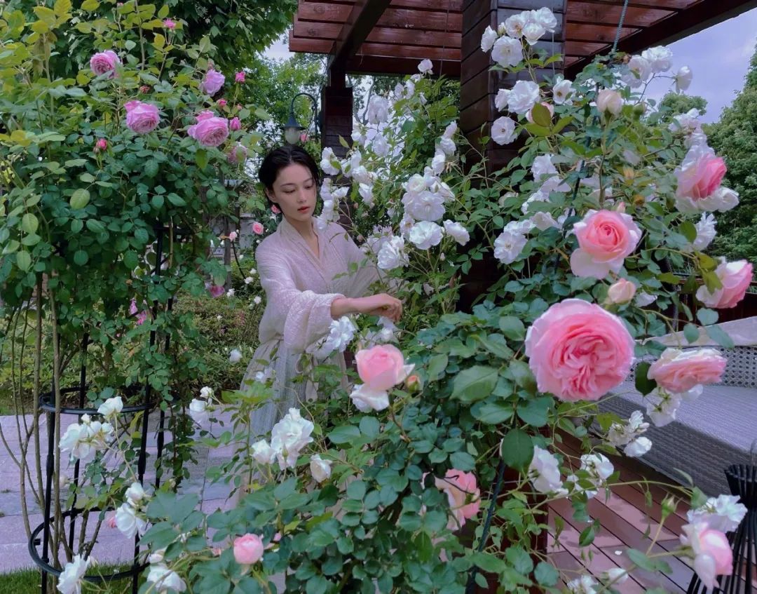 张馨予|离开李晨8年后，张馨予4000万后花园火了：终于活成了别人羡慕的模样