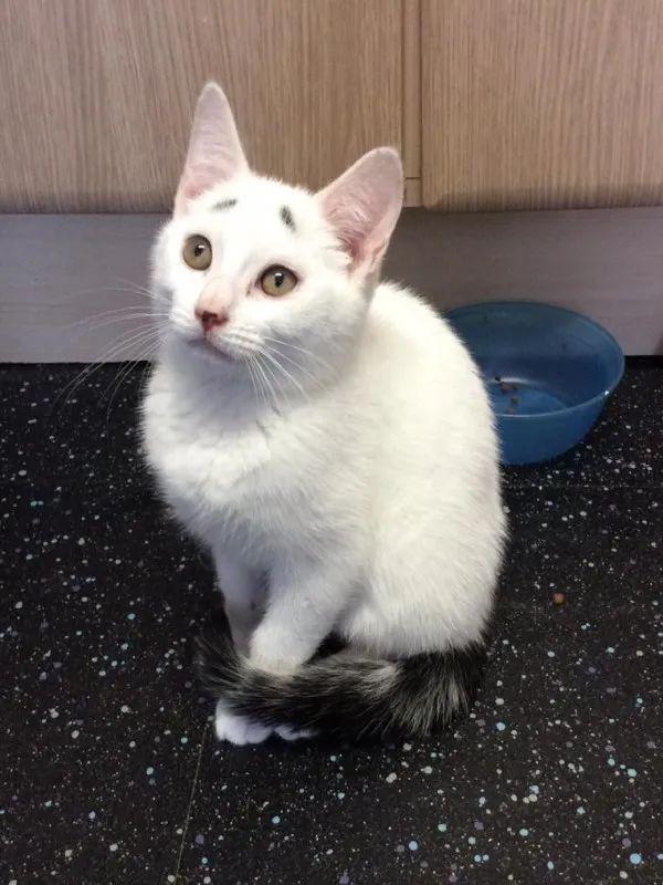 为啥长大后没之前可爱呢？