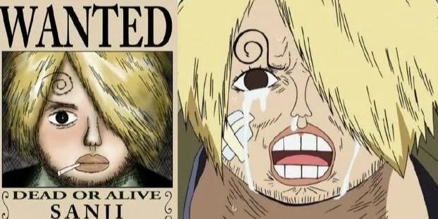 我爱罗|海贼王路飞为什么现在才被下令