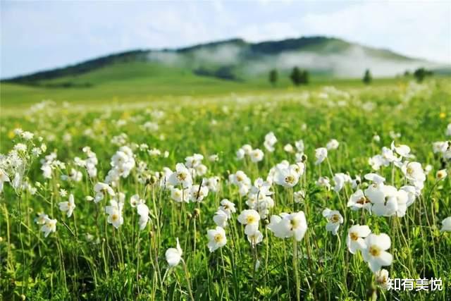 伊宁|当你累了，倦了，这10种旅行方式，不妨选一种去释放自己！