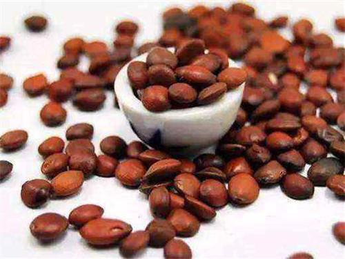 山药|心胆气虚,胆小易惊?三味药,让你通胆振阳,胆大起来