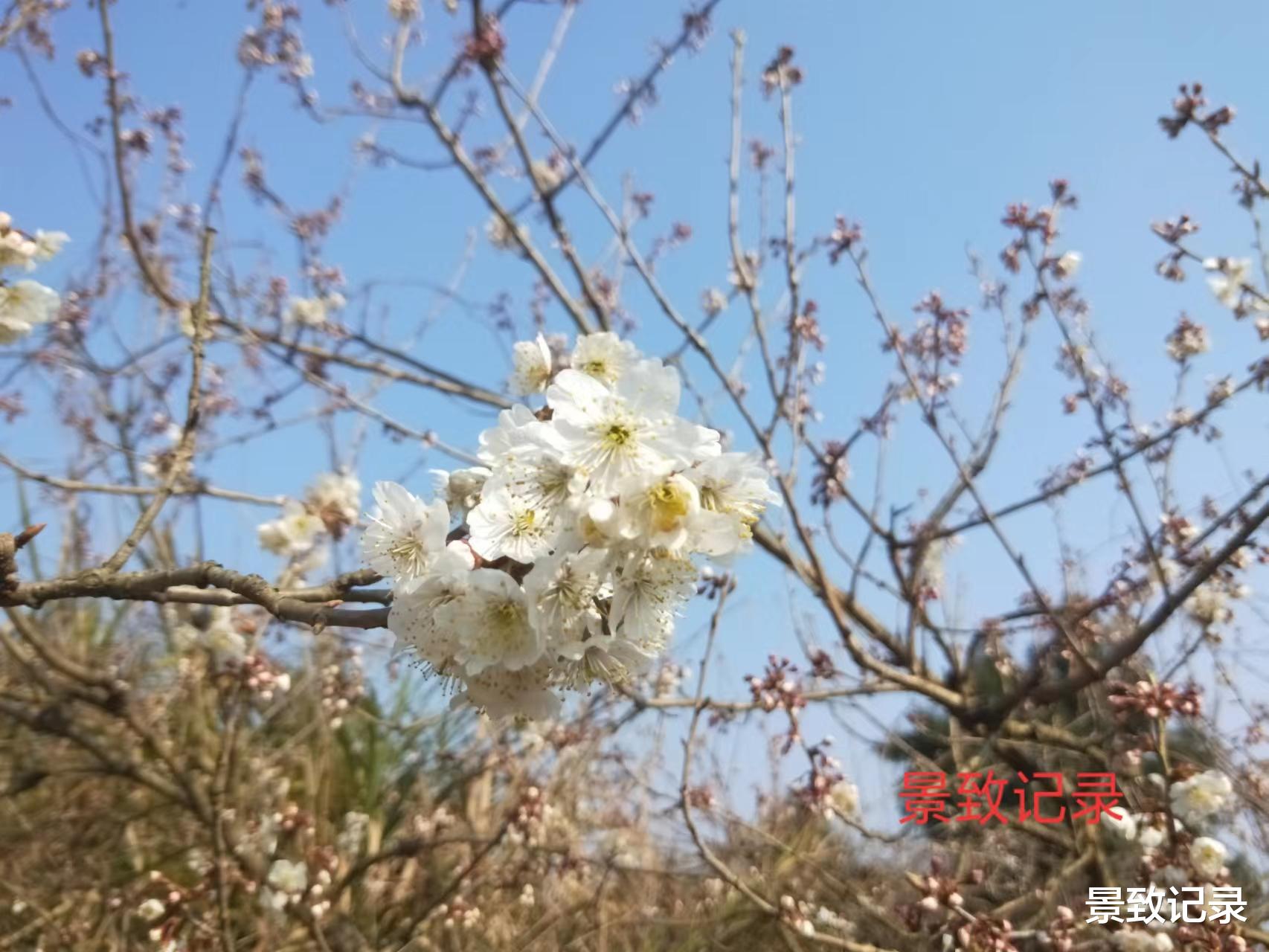 徐霞客|景致记录：广西南宁明镜岩，是否依旧飘逸出尘，一如徐霞客所见