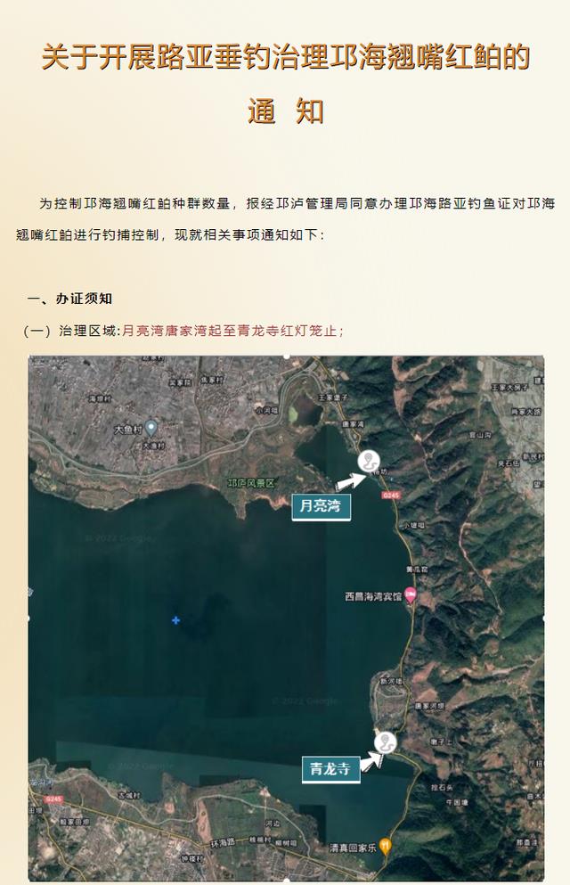 邛海|威胁！邛海翘嘴红鲌10年暴增100吨，破坏生态，1年路亚垂钓治理