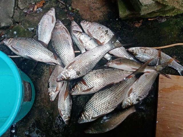 |【作钓报告】2022钓鱼之路已走完,2023开拓新的天地解锁新鱼种