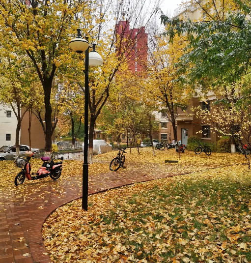 |女儿说最近下班，感觉有人在跟踪她。结果却让人很意外