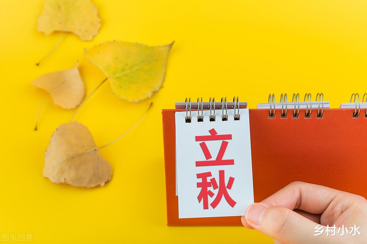 今年8月7号立秋,老人说“七月秋、母秋、秋包伏”,有啥预兆?