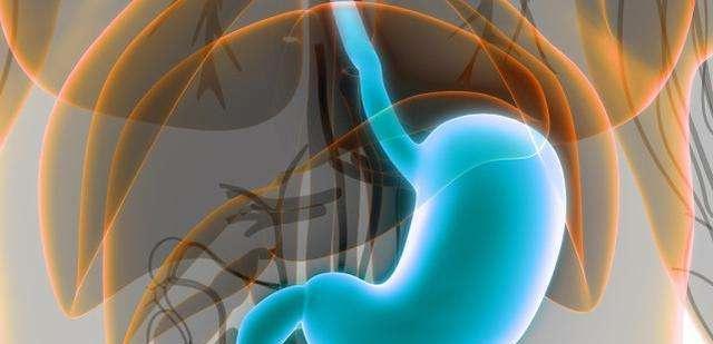 蚊子|如果蚊虫不小心飞进身体里,将会发生什么?最后结果超出你的想象