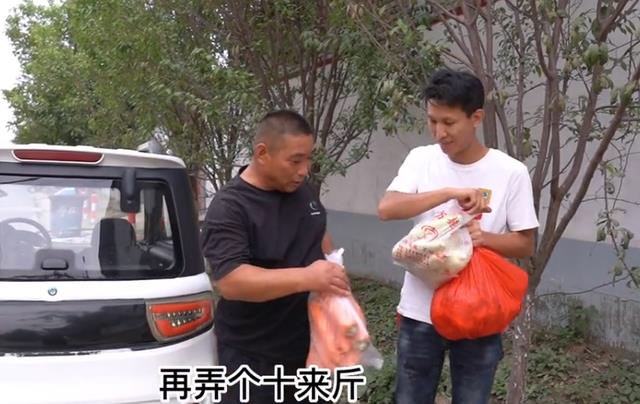 鸽子一家去吃喜酒,画面看上去十分热闹,大牛却未出镜!