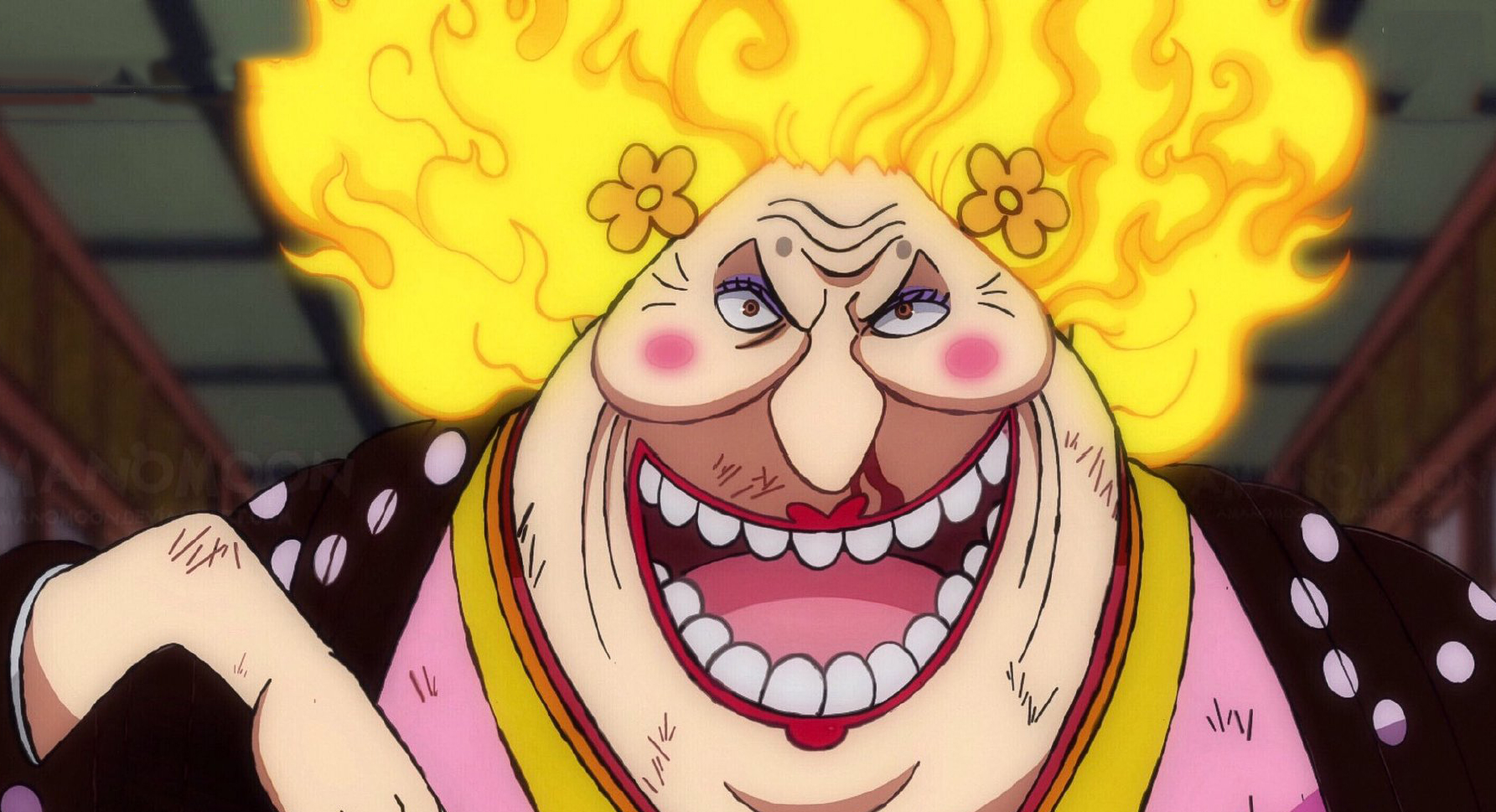 海贼王|海贼王1040话情报：大妈退场前还立大功！象主身份终于揭晓