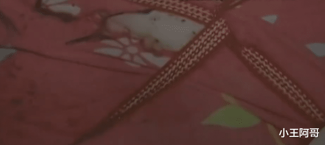 2006年,刚出生婴儿遭人泼硫酸,凶手的理由竟是婴儿母亲口无遮拦