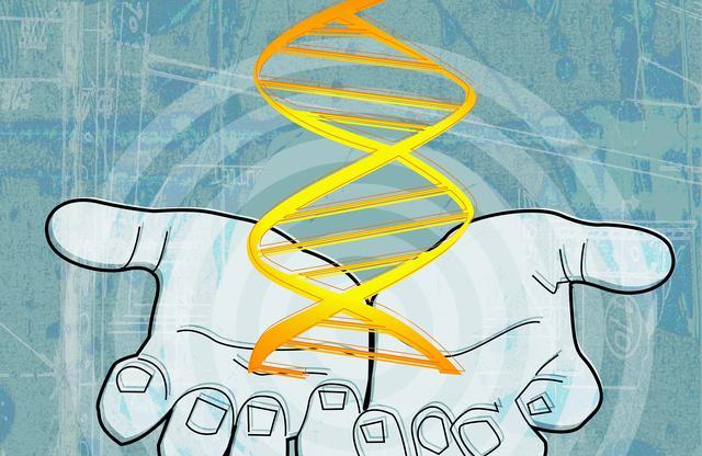 惊人发现:他人就是幸福愉悦的来源