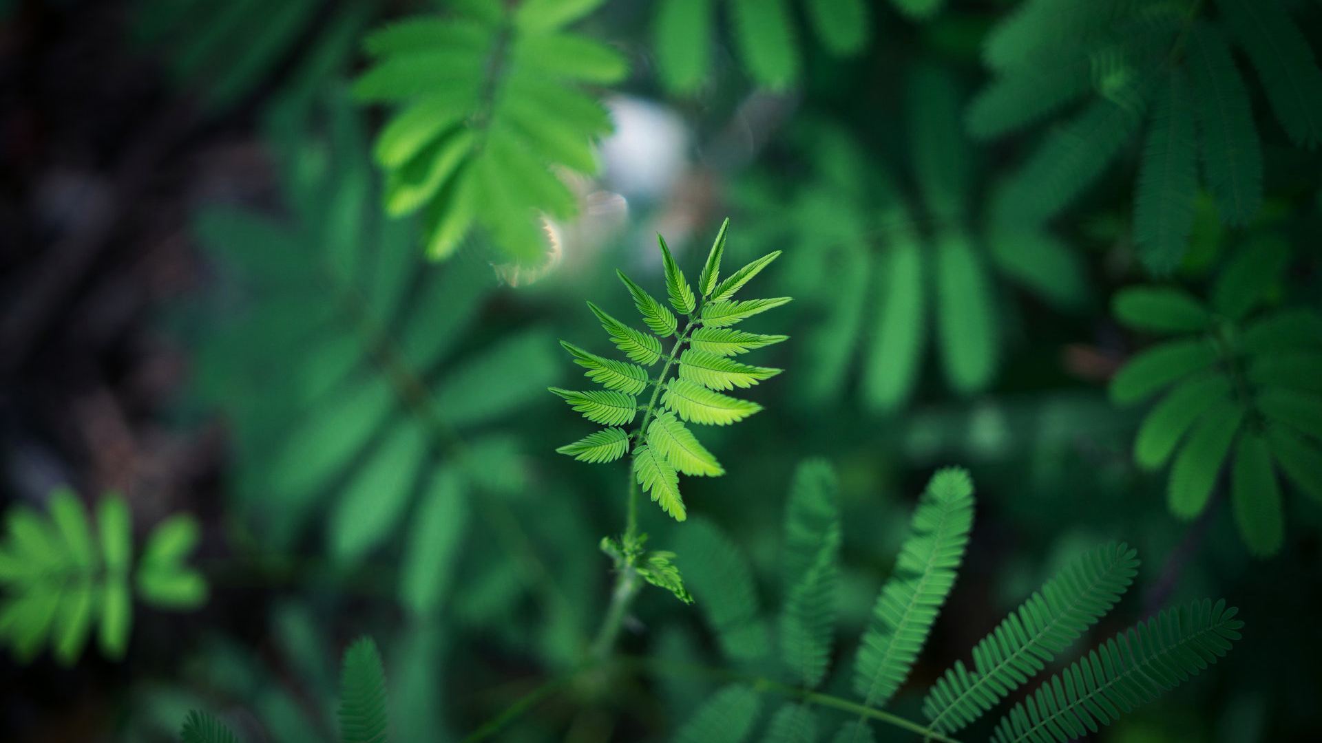 饵料|长大后，很多东西都物是人非了