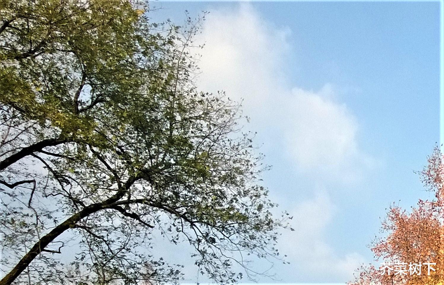 |和气难得，和气生财