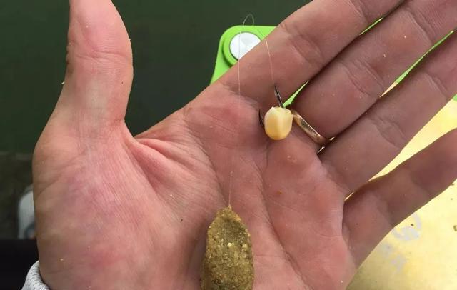 |草鱼是钓底还是钓浮？别被大师带偏了，野钓要这样做才不会空军