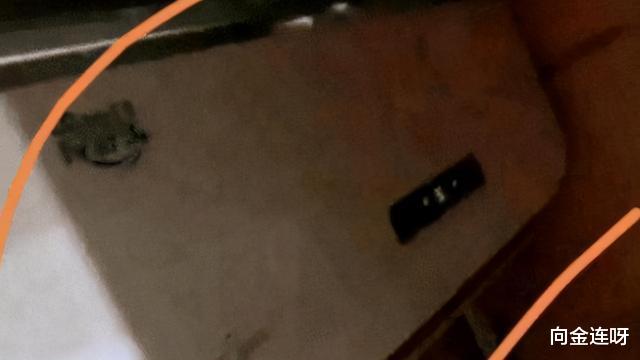 室友拒绝AA买空调,男孩省钱买下一人独享,到底哪里做“错”了?